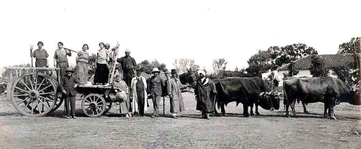 1102- Ain-Tedeles - Ferme Mages2 - 1923.jpg